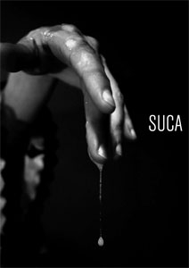 Fabio Paleari - Suca