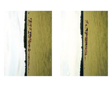 Books, Magazines, and Newspapers