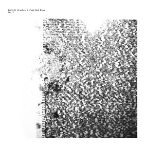  Muellie Messiah & Punk Not Punk - Exq I (vinyl LP)