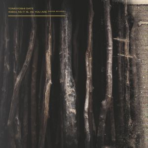 Tomoyoshi Date - 438Hz As It Is, As You Are / あるがまま、あなたのままに (vinyl LP)