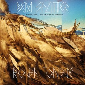 Audrey Chen - Beam Splitter - Rough Tongue (vinyl LP)