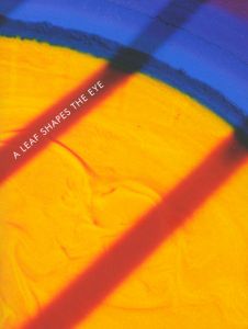 Daniel Steegmann Mangrané - A Leaf Shapes the Eye