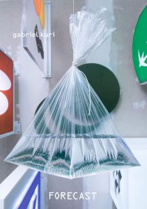 Gabriel Kuri - Forecast