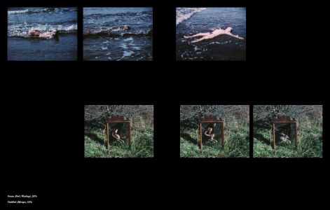 Aux commencements / Search for Origin