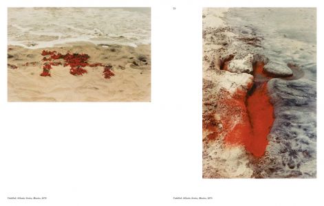 Aux commencements / Search for Origin