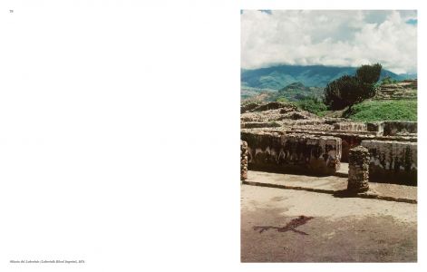 Aux commencements / Search for Origin