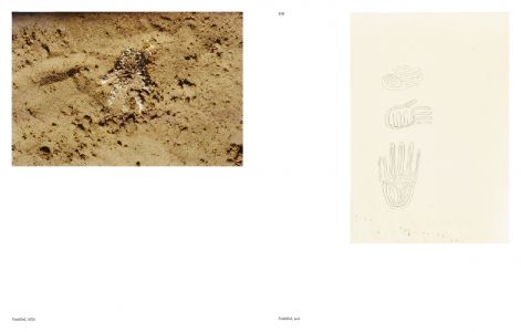 Aux commencements / Search for Origin