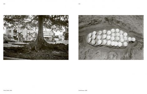 Aux commencements / Search for Origin