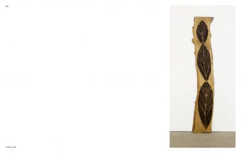 Aux commencements / Search for Origin