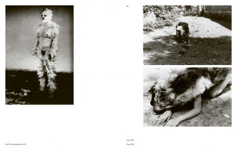 Aux commencements / Search for Origin