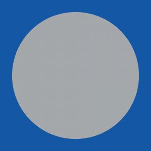  Mesmer - Terrain Vague (CD)