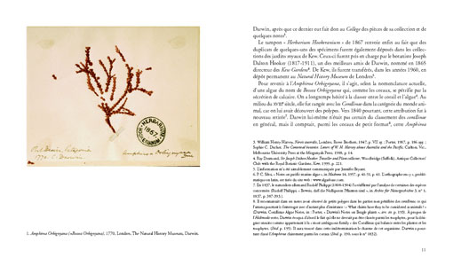 Les coraux de Darwin