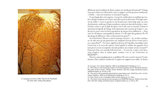 Les coraux de Darwin