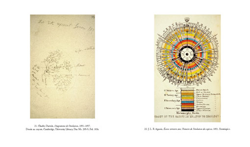 Les coraux de Darwin