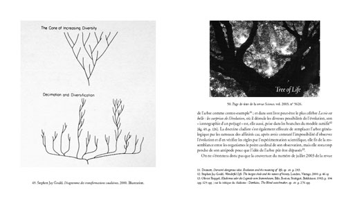 Les coraux de Darwin