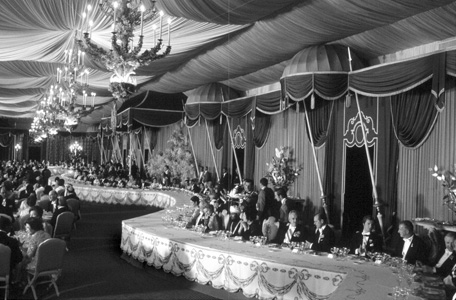 Celebration at Persepolis