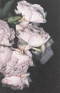 Martin Maeller - Nervous Dust