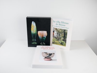 La collection Francis Meyer (box set)