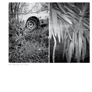 Mark Templeton - Two Verses (vinyl LP)