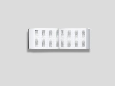 True to New – New Year's Zines 2007–2025 / Dem Neuen treu – Neujahrshefte 2007–2025