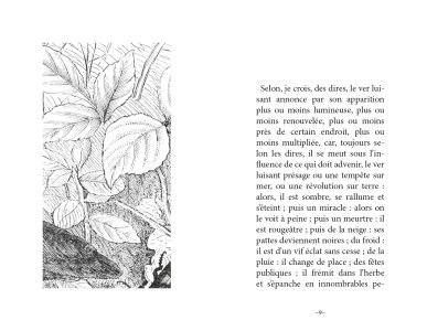 Le diamant de l'herbe (book + CD)