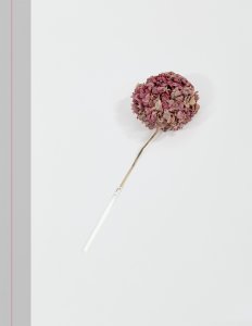 Mircea Nicolae - De unul singur