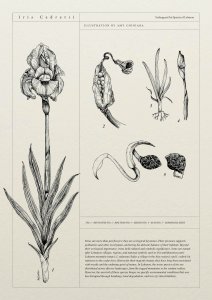 The Land Remembers (box set)