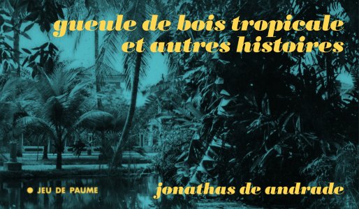 Jonathas de Andrade - Tropical hangover and other stories