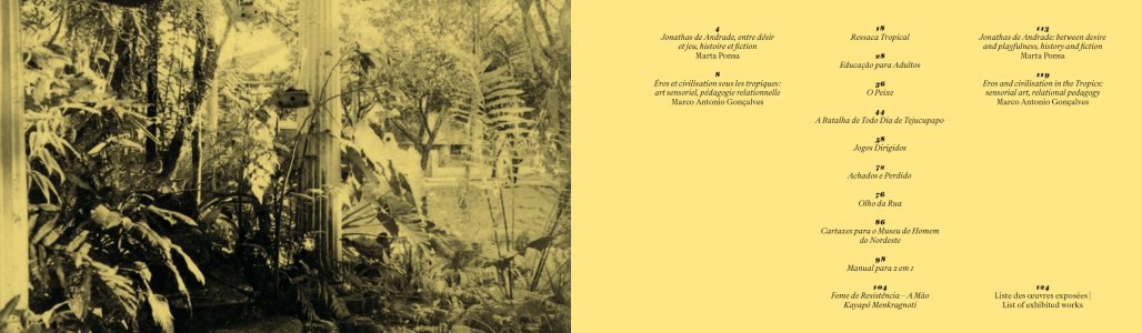 Tropical hangover and other stories