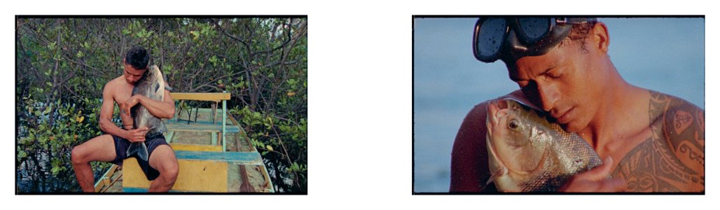 Tropical hangover and other stories