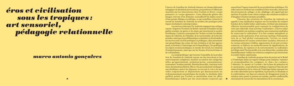 Tropical hangover and other stories