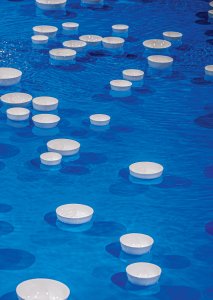 Céleste Boursier-Mougenot - Clinamen