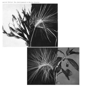Andrew Pekler - New Environments & Rhythm Studies (vinyl LP)