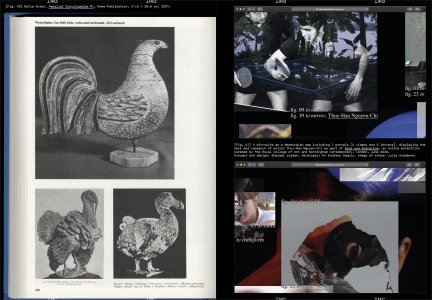 Faire – To look at things