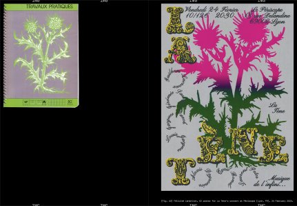 Faire – To look at things