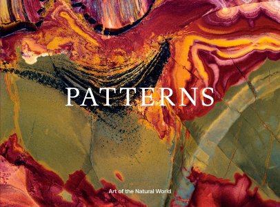 Jon McCormack - Patterns - Art of the Natural World