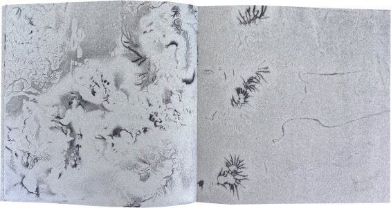 Heliogram (book + flexi disc)