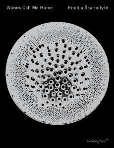 Emilija Škarnulytė - Waters Call Me Home