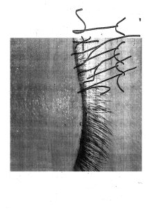 David Douard - inner GLOw\' replica