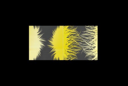 Aeolian Suite (book + vinyl LP)
