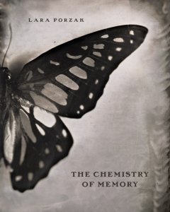 Lara Porzak - The Chemistry of Memory 