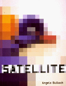 Angela Bulloch - Satellite