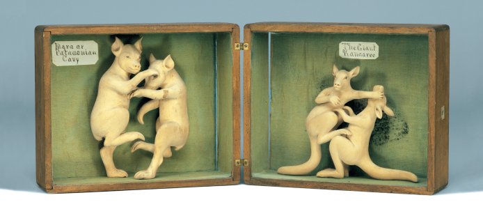 Boxes