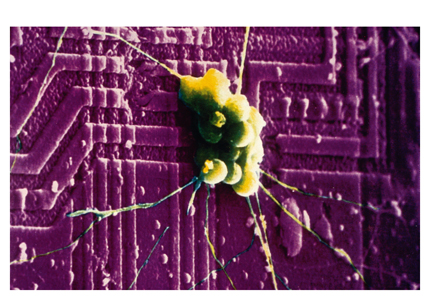 Oui, non, peut-être