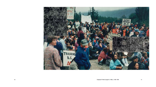 A Literature of Images