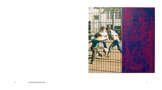 A Literature of Images