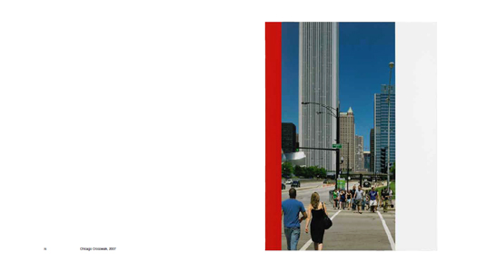 A Literature of Images