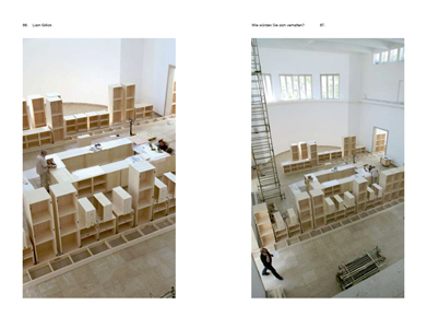 How are you going to behave? A kitchen cat speaks