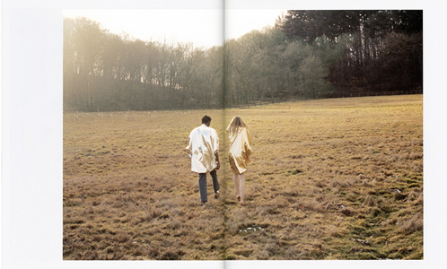 Cosmic Wonder Free Press – Sunday Edition