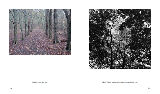 Pour une république des rêves